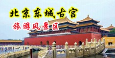 大鸡吧肏人黄片中国北京-东城古宫旅游风景区